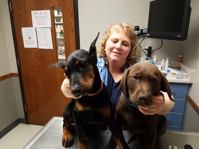 Starch Pet Hospital Picture 5