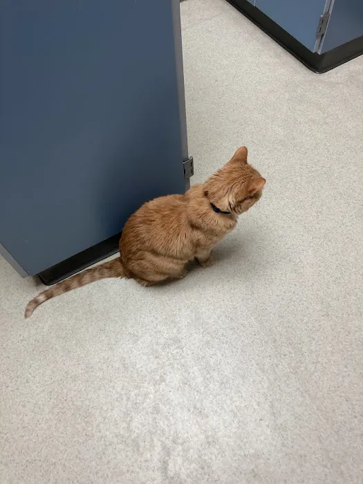 Starch Pet Hospital Picture 6