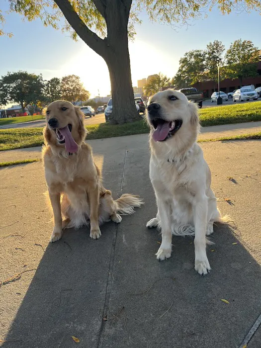 Starch Pet Hospital Picture 8