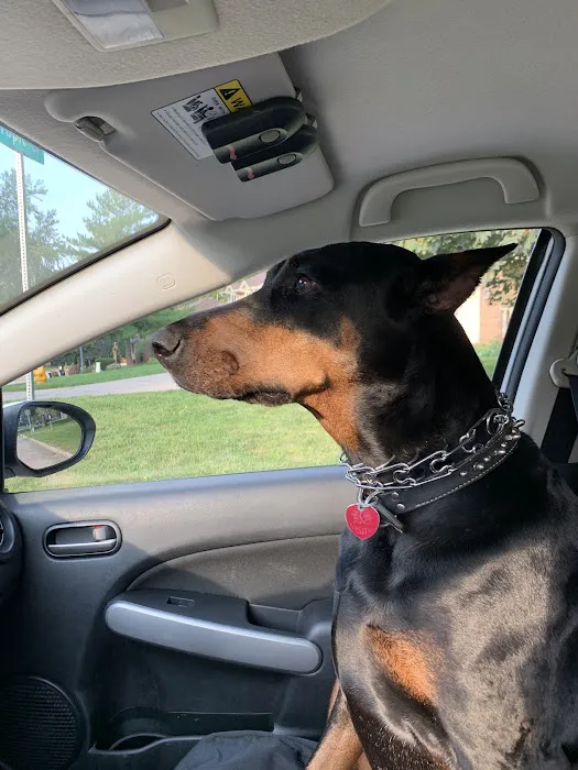 Starch Pet Hospital Picture 7