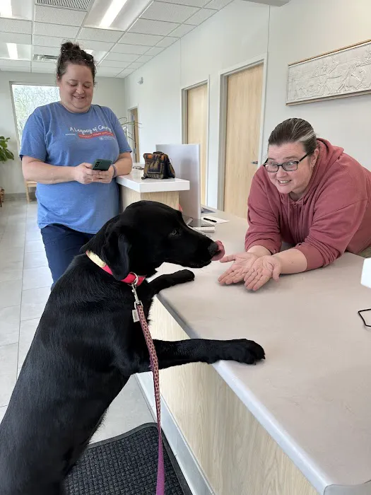 Beaverdale Veterinary Clinic / Riordan Pet Hospital Picture 7