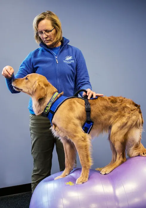 Pawsitive Strides Veterinary Rehabilitation & Therapy Picture 2