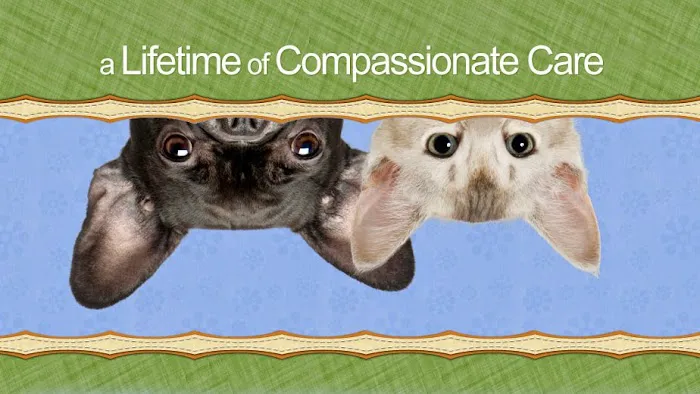 Ingersoll Animal Hospital Picture 3