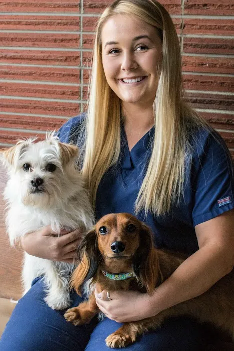 Ingersoll Animal Hospital Picture 7