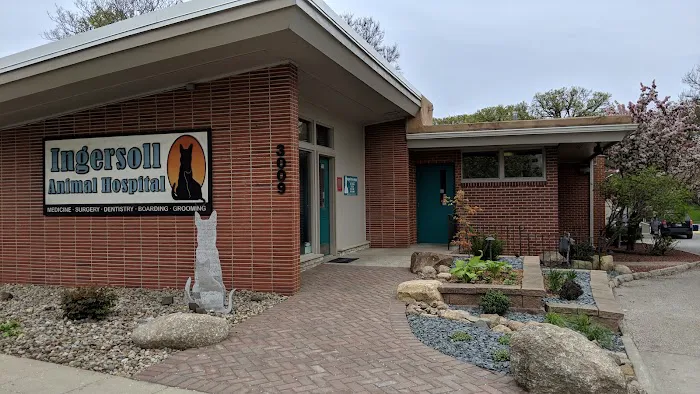Ingersoll Animal Hospital Picture 8