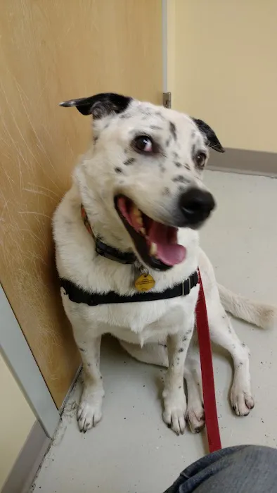 Heartland Animal Hospital Picture 3