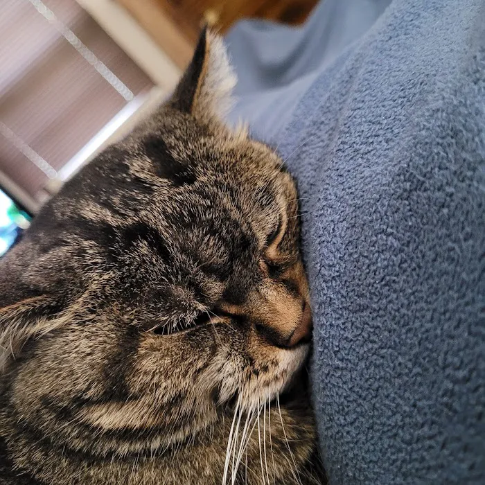 Heartland Animal Hospital Picture 5