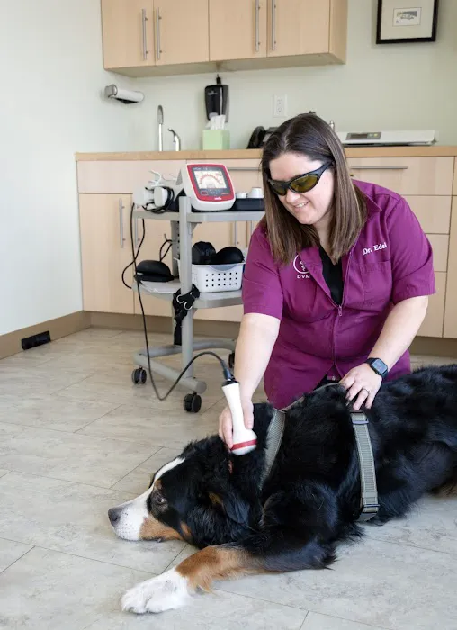 Heartland Animal Hospital Picture 7