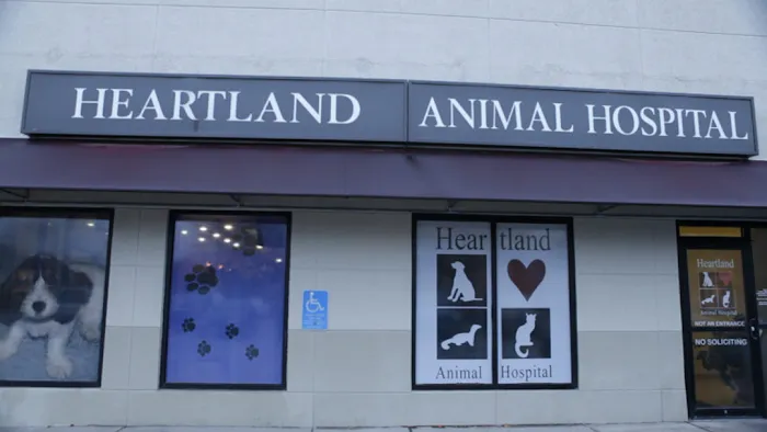 Heartland Animal Hospital Picture 10
