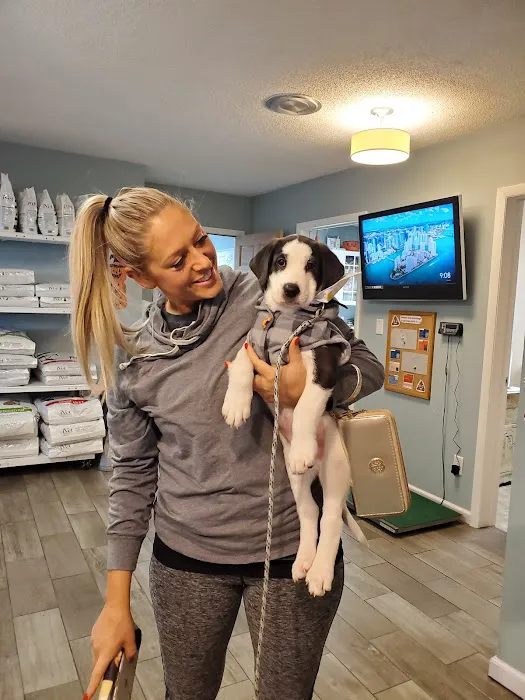 Family Pet Veterinary Center Picture 2