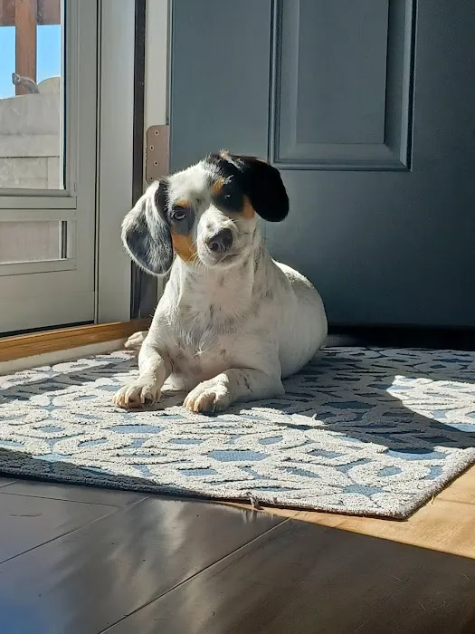 Family Pet Veterinary Center Picture 1