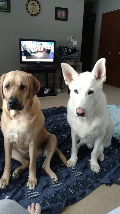 Family Pet Veterinary Center Picture 3