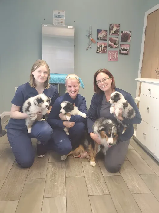 Family Pet Veterinary Center Picture 4