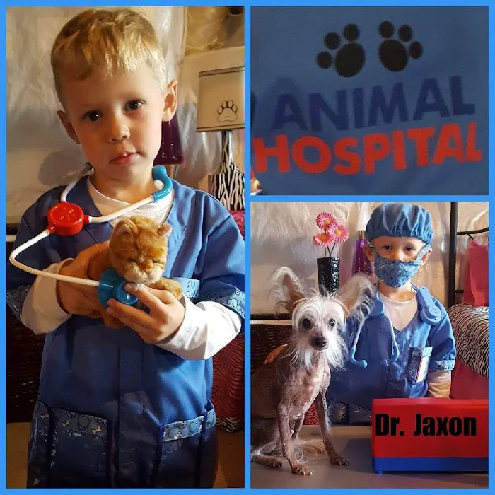 Family Pet Veterinary Center Picture 9