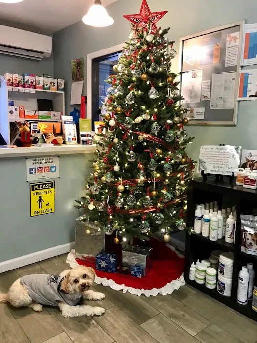 Family Pet Veterinary Center Picture 10