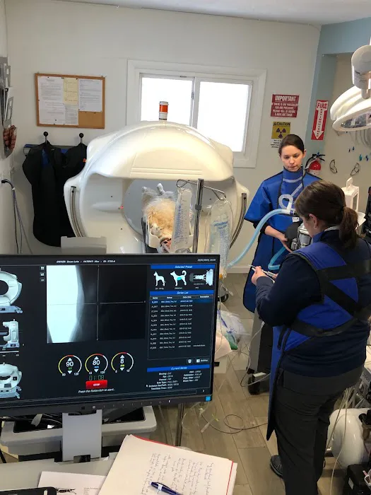 Animal Dentistry Referral Services Picture 1