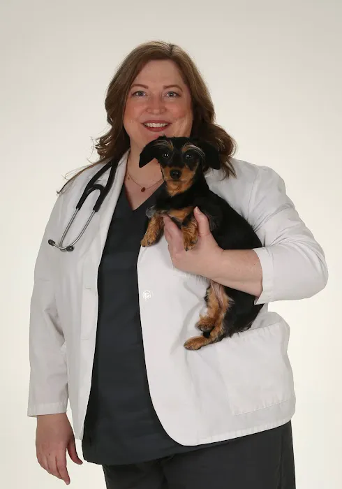 Animal Dentistry Referral Services Picture 4