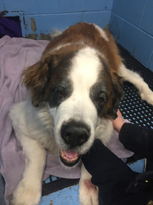 Dunham Frank DVM Picture 5