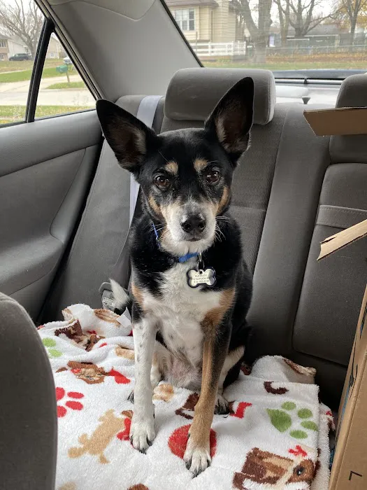 Dunham Frank DVM Picture 3