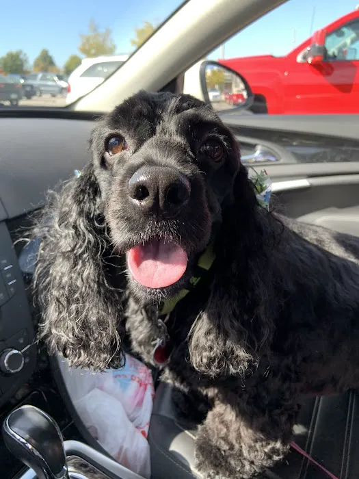 Dunham Frank DVM Picture 4