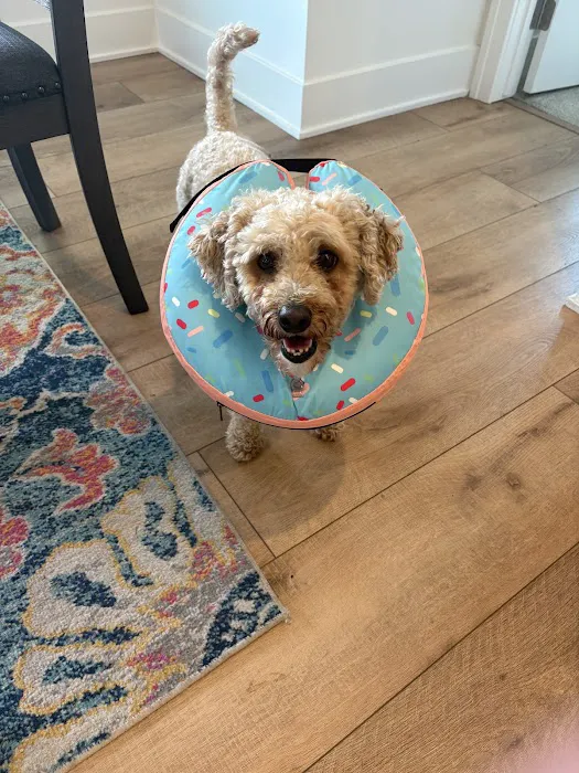 Iowa Veterinary Specialties Picture 3