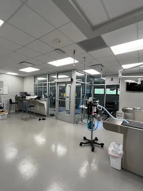 Iowa Veterinary Specialties Picture 1