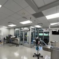 Iowa Veterinary Specialties ico