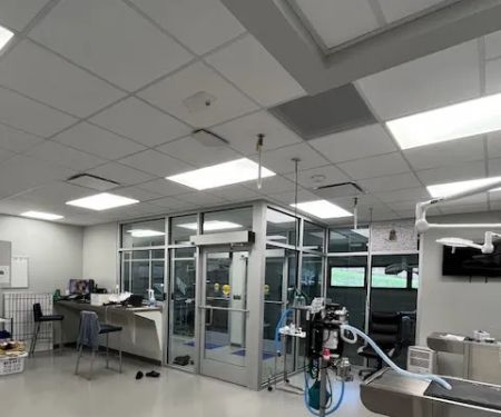 Iowa Veterinary Specialties