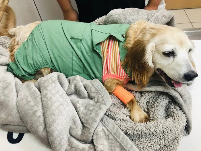 Iowa Veterinary Specialties Picture 5