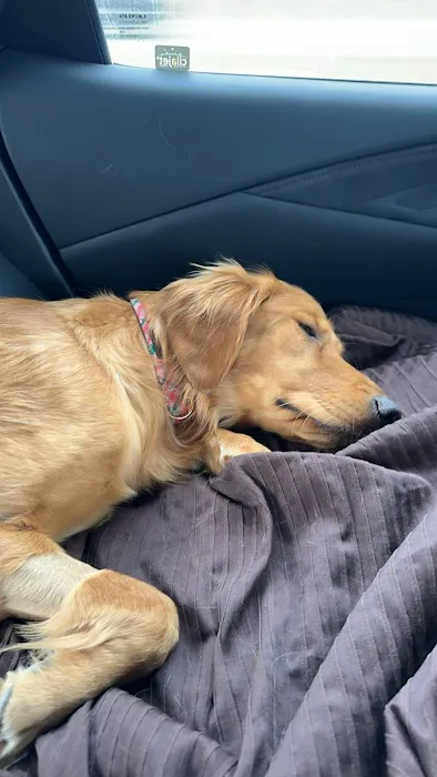 Iowa Veterinary Specialties Picture 7