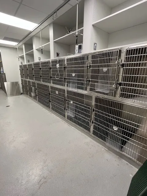 Iowa Veterinary Specialties Picture 9