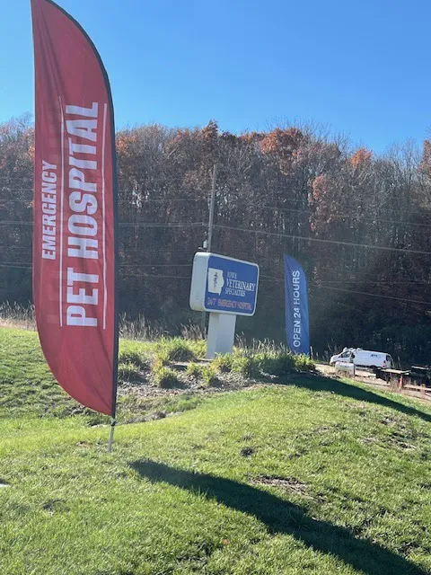 Iowa Veterinary Specialties Picture 10