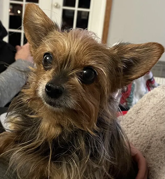 Kindness Pet Clinic Picture 5