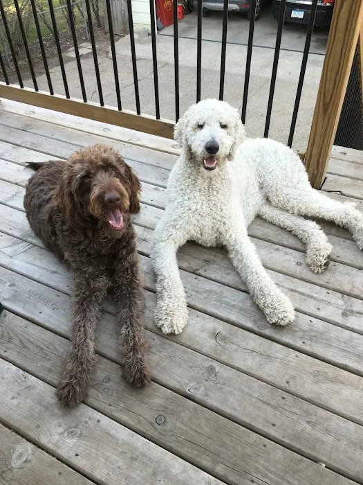 Kindness Pet Clinic Picture 7