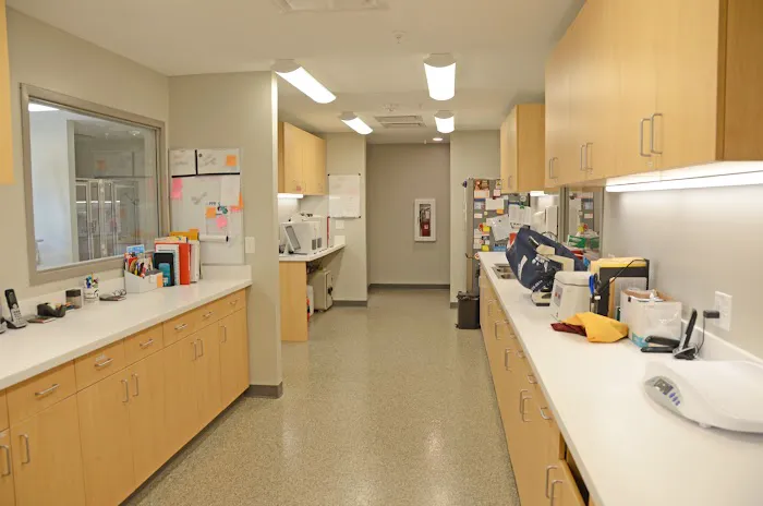 All Creatures Small Animal Hospital Picture 4