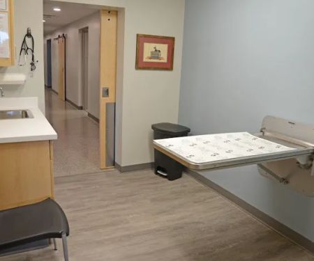 All Creatures Small Animal Hospital