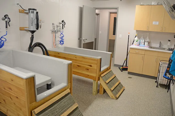 All Creatures Small Animal Hospital Picture 3