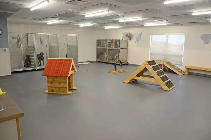 All Creatures Small Animal Hospital Picture 5