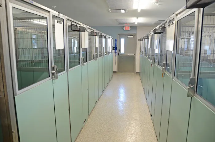 All Creatures Small Animal Hospital Picture 7