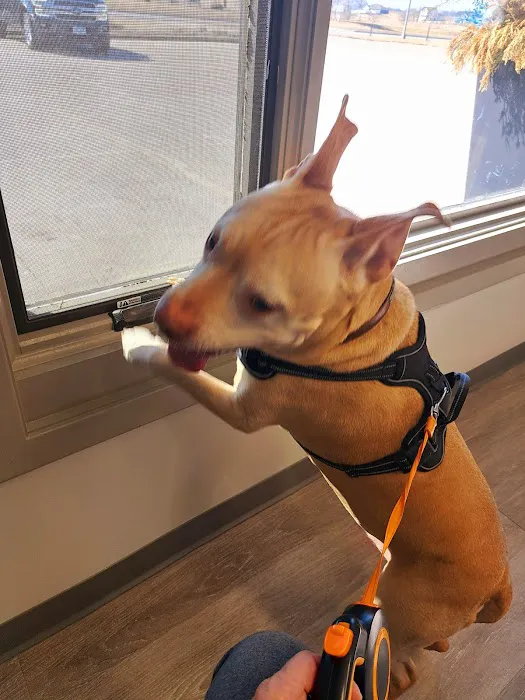 All Creatures Small Animal Hospital Picture 8