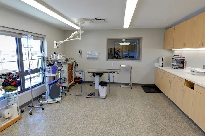 All Creatures Small Animal Hospital Picture 10