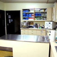 Animal Medical Clinic ico