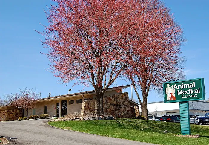 Animal Medical Clinic Picture 3