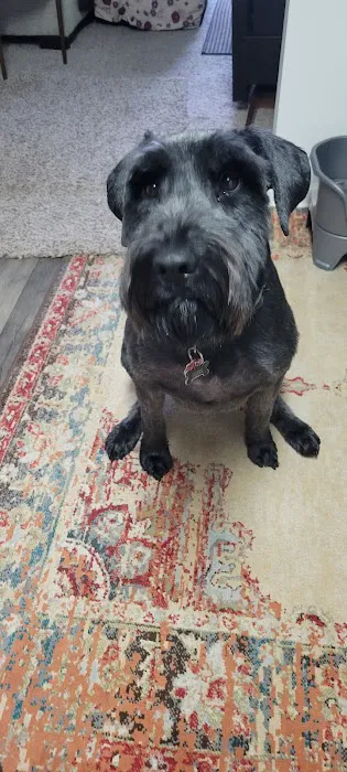 Animal Medical Clinic Picture 4