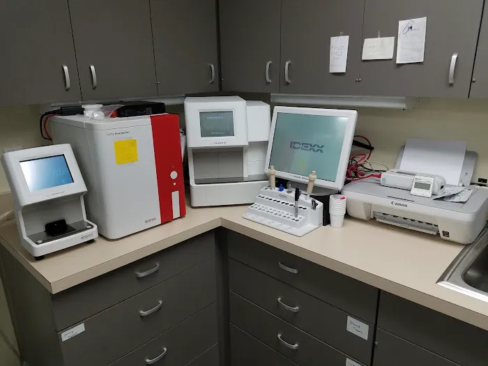 Animal Medical Clinic Picture 2