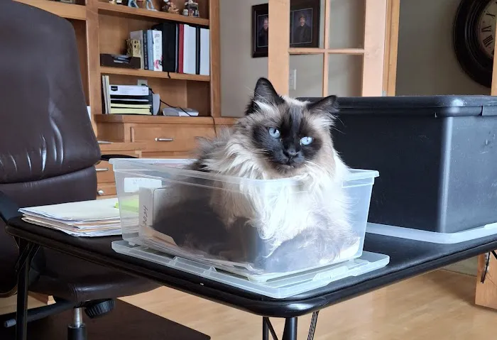 Animal Medical Clinic Picture 7