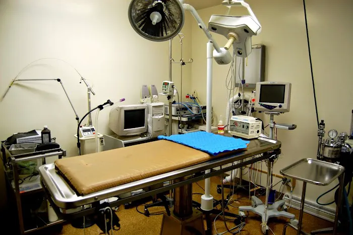 Animal Medical Clinic Picture 6