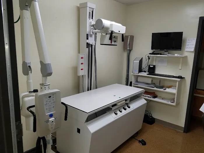 Animal Medical Clinic Picture 9