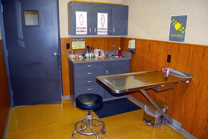 Animal Medical Clinic Picture 10