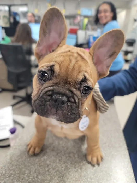 Northwest Veterinary Hospital Picture 1